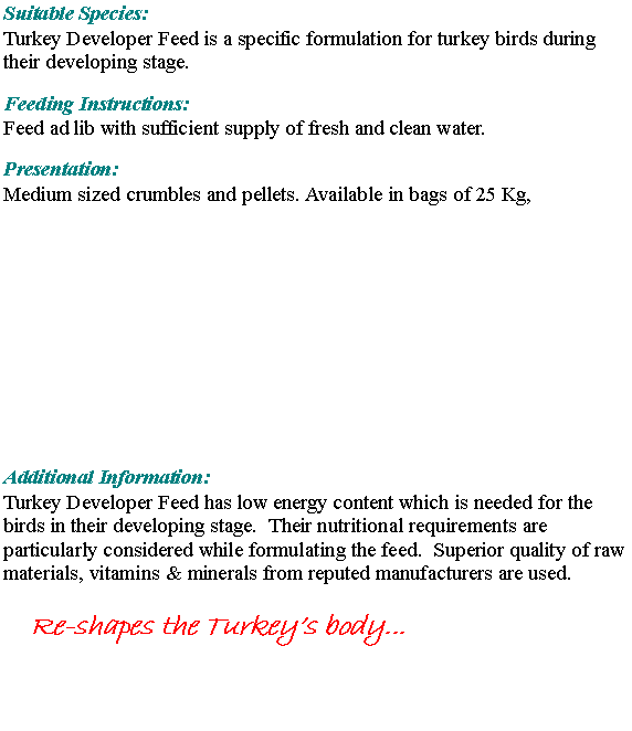 Text Box: Suitable Species:Turkey Developer Feed is a specific formulation for turkey birds during their developing stage.Feeding Instructions: 	Feed ad lib with sufficient supply of fresh and clean water. Presentation:		Medium sized crumbles and pellets. Available in bags of 25 Kg, Additional Information:Turkey Developer Feed has low energy content which is needed for the birds in their developing stage.  Their nutritional requirements are particularly considered while formulating the feed.  Superior quality of raw materials, vitamins & minerals from reputed manufacturers are used.Re-shapes the Turkey�s body...