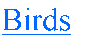 Text Box: Birds